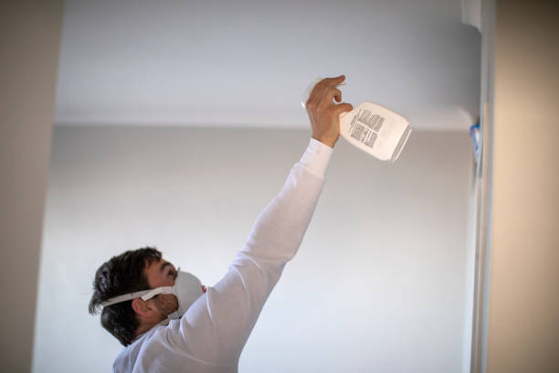  Warrenvle, IL Mold Removal Pros