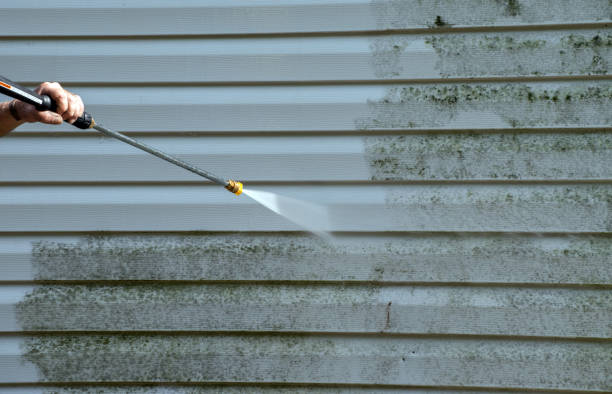 Certified Mold Removal in Warrenville, IL