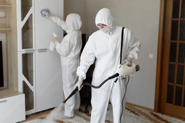 Reliable Warrenville, IL Mold Removal Solutions