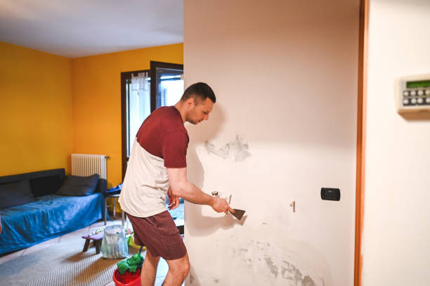 Best Fast Mold Removal  in Warrenvle, IL